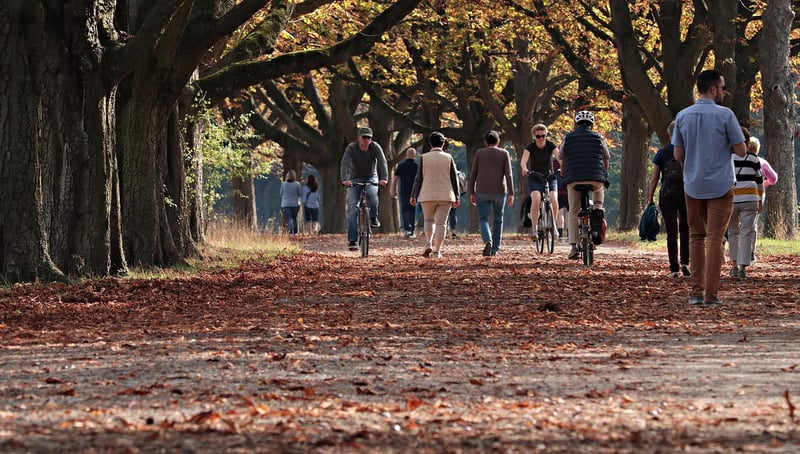 Seasonal Cycles