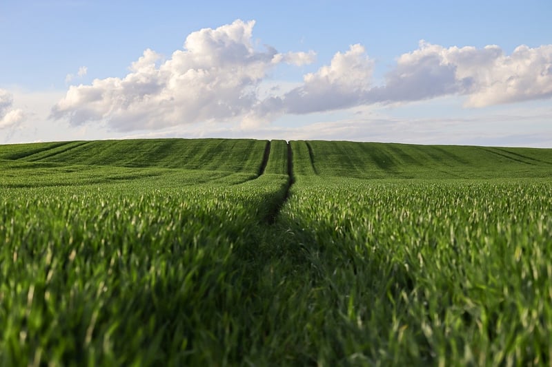 Harvesting Crops